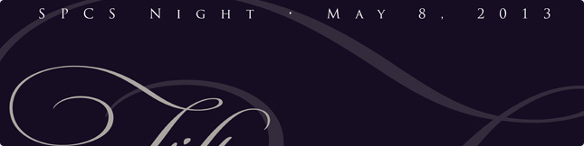 SPCS Night image